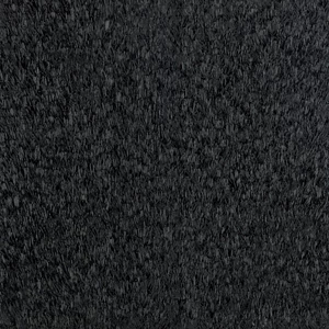 World of Colors Black Beauty