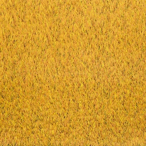 World of Colors Sunflower Gold