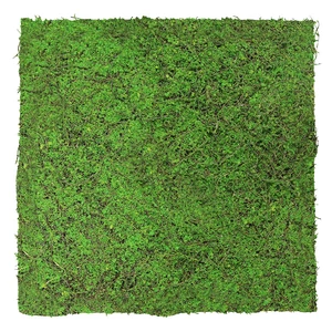 Falpanel JANGAL Modular Wall 11107 Forest Green Ancient Tree 52x52 cm