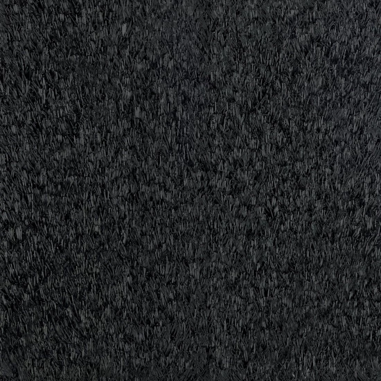 World of Colors Black Beauty
