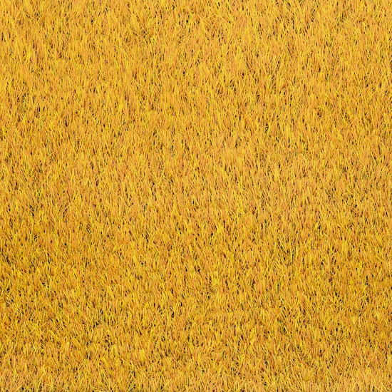 World of Colors Sunflower Gold