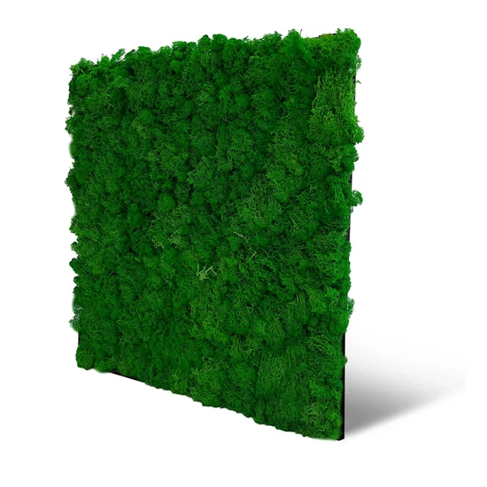 Falpanel JANGAL Modular Wall 11100 Nature Green Moos 52x52 cm