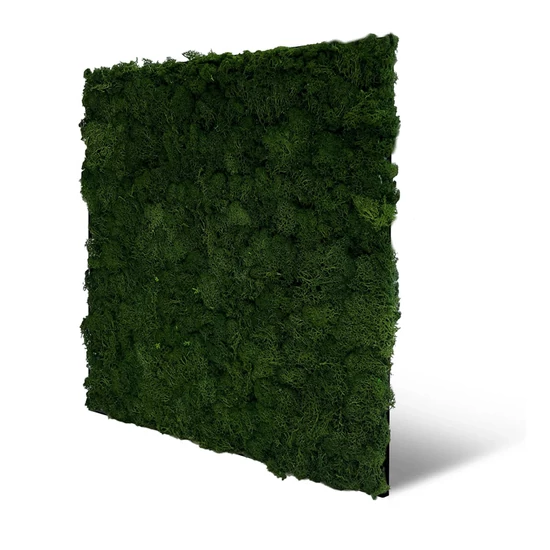 Falpanel JANGAL Modular Wall 11103 Dark Green Moos 52x52 cm