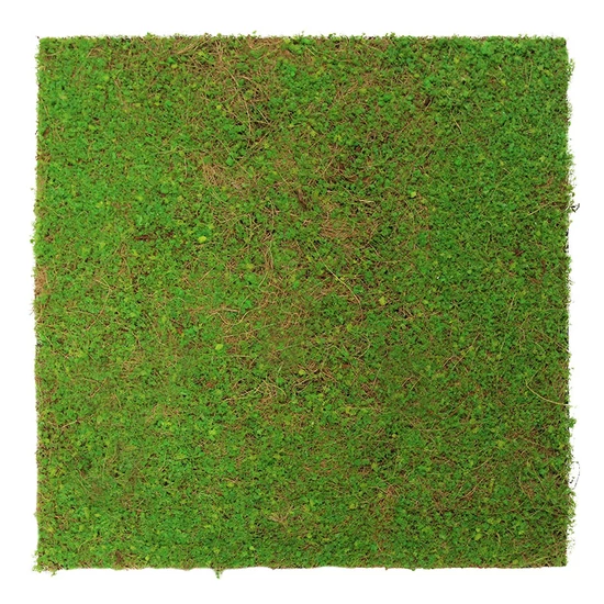 Falpanel JANGAL Modular Wall 11106 Light Green Coconut 52x52 cm