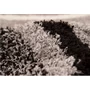 Kép 2/3 - Joy 104 silver/ezüst 80x150cm szőnyeg