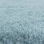 Kép 6/7 - Fluffy shaggy 3500 kék szőnyeg 80x250 cm futó