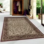 Kép 2/7 - Kashmir 2604 krémszínű szőnyeg 300x400 cm