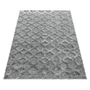 Kép 3/7 - Pisa 4702 szürke szőnyeg 120x170 cm
