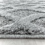 Kép 4/7 - Pisa 4702 szürke szőnyeg 120x170 cm