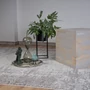 Kép 2/5 - MyPHOENIX 120 TAUPE SZŐNYEG Ambiente