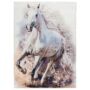 Kép 1/4 - myTorino Kids 235 fehér ló gyerekszőnyeg 80x120 cm