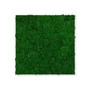 Kép 2/7 - Falpanel JANGAL Modular Wall 11100 Nature Green Moos 52x52 cm