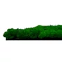 Kép 4/7 - Falpanel JANGAL Modular Wall 11100 Nature Green Moos 52x52 cm