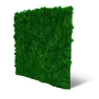 Kép 1/7 - Falpanel JANGAL Modular Wall 11100 Nature Green Moos 52x52 cm