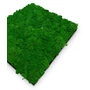Kép 3/7 - Falpanel JANGAL Modular Wall 11100 Nature Green Moos 52x52 cm
