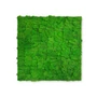 Kép 2/8 - Falpanel JANGAL Modular Wall 11101 Rich Green Moos 52x52 cm