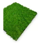Kép 3/8 - Falpanel JANGAL Modular Wall 11101 Rich Green Moos 52x52 cm