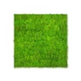 Kép 2/7 - Falpanel JANGAL Modular Wall 11102 Bright Green Moos 52x52 cm