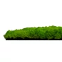 Kép 4/7 - Falpanel JANGAL Modular Wall 11102 Bright Green Moos 52x52 cm