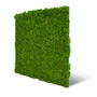 Kép 1/7 - Falpanel JANGAL Modular Wall 11102 Bright Green Moos 52x52 cm
