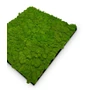 Kép 3/7 - Falpanel JANGAL Modular Wall 11102 Bright Green Moos 52x52 cm