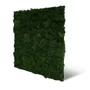 Kép 1/7 - Falpanel JANGAL Modular Wall 11103 Dark Green Moos 52x52 cm