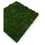 Kép 3/7 - Falpanel JANGAL Modular Wall 11103 Dark Green Moos 52x52 cm