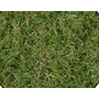 Kép 1/5 - ASTER műfű 30 mm (4m)
