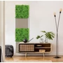 Kép 8/10 - Falpanel JANGAL Modular Wall 11104 Podocarpus Tea Tree 52x52 cm