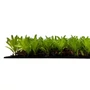 Kép 5/10 - Falpanel JANGAL Modular Wall 11104 Podocarpus Tea Tree 52x52 cm