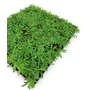 Kép 3/10 - Falpanel JANGAL Modular Wall 11104 Podocarpus Tea Tree 52x52 cm