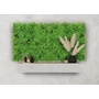 Kép 4/10 - Falpanel JANGAL Modular Wall 11104 Podocarpus Tea Tree 52x52 cm