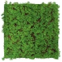 Kép 1/8 - Falpanel JANGAL Modular Wall 11105 Thuya Tea Tree 52x52 cm