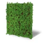 Kép 2/8 - Falpanel JANGAL Modular Wall 11105 Thuya Tea Tree 52x52 cm