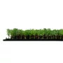 Kép 3/8 - Falpanel JANGAL Modular Wall 11105 Thuya Tea Tree 52x52 cm