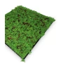 Kép 4/8 - Falpanel JANGAL Modular Wall 11105 Thuya Tea Tree 52x52 cm