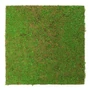 Kép 1/8 - Falpanel JANGAL Modular Wall 11106 Light Green Coconut 52x52 cm