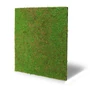 Kép 2/8 - Falpanel JANGAL Modular Wall 11106 Light Green Coconut 52x52 cm