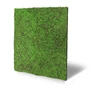 Kép 2/12 - Falpanel JANGAL Modular Wall 11107 Forest Green Ancient Tree 52x52 cm