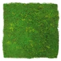 Kép 1/6 - Falpanel JANGAL Modular Wall 11110 Light Fibre Design Moos 52x52 cm