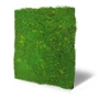 Kép 2/6 - Falpanel JANGAL Modular Wall 11110 Light Fibre Design Moos 52x52 cm