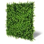 Kép 2/7 - Falpanel JANGAL Modular Wall 11112 Mixed Green Design Buxus 52x52 cm