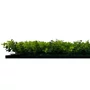 Kép 4/7 - Falpanel JANGAL Modular Wall 11112 Mixed Green Design Buxus 52x52 cm