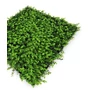 Kép 3/7 - Falpanel JANGAL Modular Wall 11112 Mixed Green Design Buxus 52x52 cm