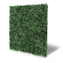 Kép 2/6 - Falpanel JANGAL Modular Wall 11113 Dark Green Design Buxus 52x52 cm