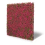 Kép 2/9 - Falpanel JANGAL Modular Wall 11114 Pink Design Buxus 52x52 cm