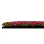 Kép 4/9 - Falpanel JANGAL Modular Wall 11114 Pink Design Buxus 52x52 cm