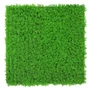 Kép 1/7 - Falpanel JANGAL Modular Wall 11115 Bright Green Design Buxus 52x52 cm