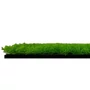 Kép 4/7 - Falpanel JANGAL Modular Wall 11115 Bright Green Design Buxus 52x52 cm