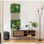 Kép 7/8 - Falpanel JANGAL Modular Wall 11117 Exotic Mixed Flora 52x52 cm